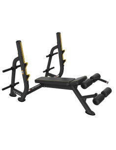 PTT02 Banc Olympique Décliné