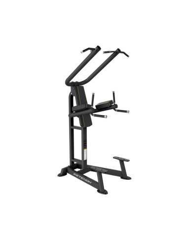 PTT02 Tractions / Dips 