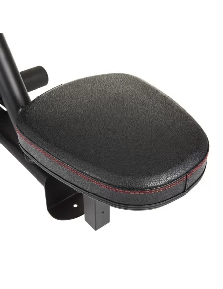 Station double Lat Pulldown /Rowing assis   INSPIRE FITNESS-Home-musculation-Pas cher