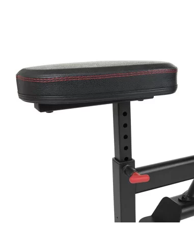 Station double Lat Pulldown /Rowing assis   INSPIRE FITNESS-Home-musculation-Pas cher