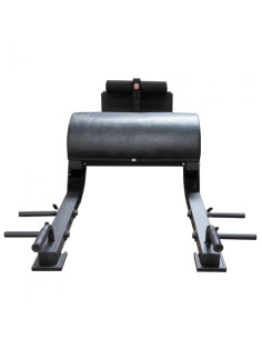 Floor Glute Ham Developer/Hip Thrust Machine  2