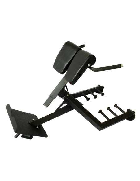 Banc d'hyperextension Riot Commercial Heavy Duty