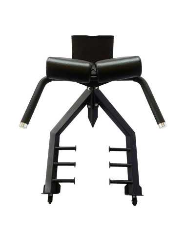 Banc d'hyperextension Riot Commercial Heavy Duty