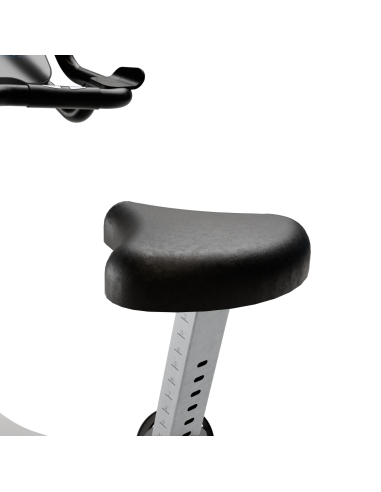 EVOUTS+ Professional Upright Bike - Bodytone