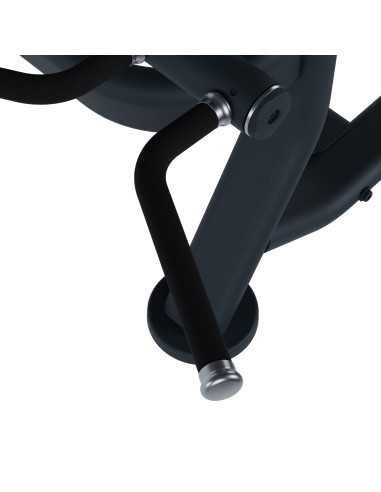 Bizeps FH30 – Bodytone