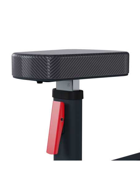 Lateral elevations FH24 - Bodytone