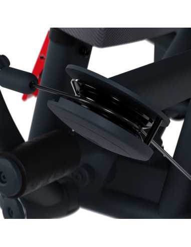 Lateral elevations FH24 - Bodytone