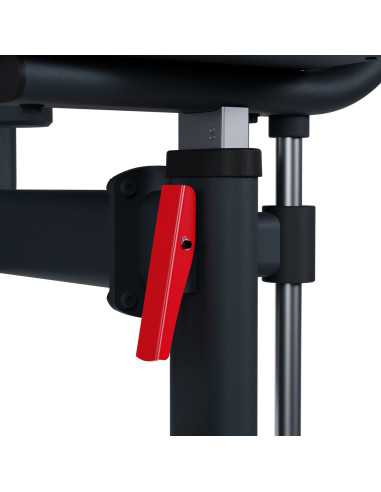 Extensão abdominal e Espalda FH40 - Bodytone