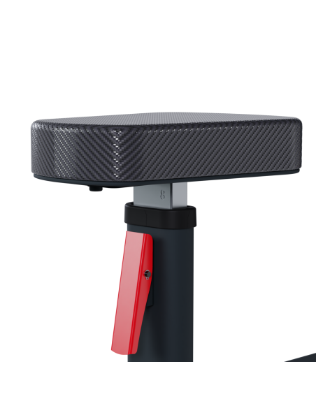 Pecho e Tríceps FH32 - Bodytone