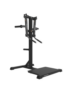 Standing Lateral Raise SG24 - Bodytone