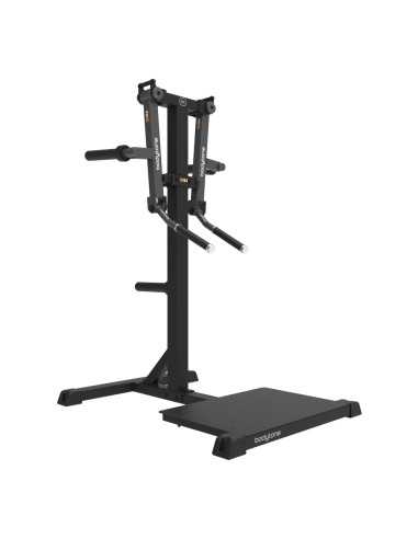 Standing Lateral Raise SG24 - Bodytone