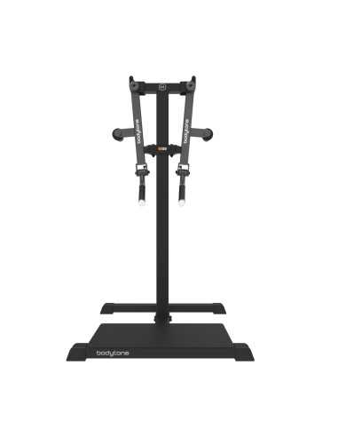 Elevação Lateral em Pé SG24 - Bodytone