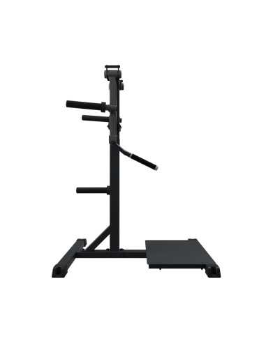 Standing Lateral Raise SG24 - Bodytone