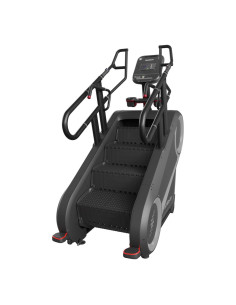 Stairmaster 10G (Console 10p)