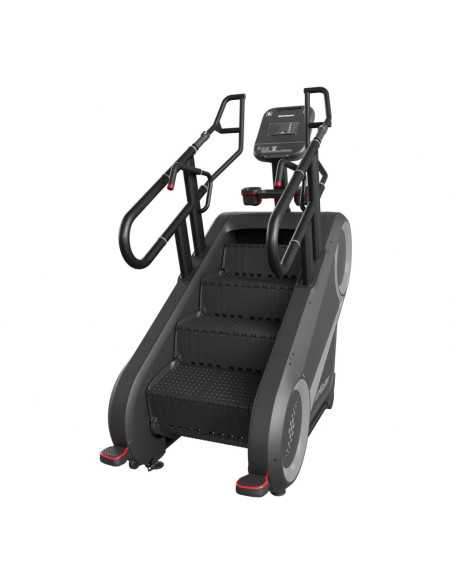 Stairmaster 10G (Console 10p)  