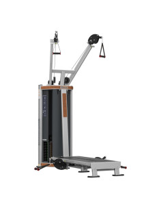 Nautilus Pro Human Sport Pull Lift (Silver W/ Wood Trim)