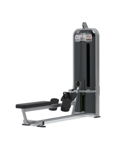 Nautilus Pro Low Row