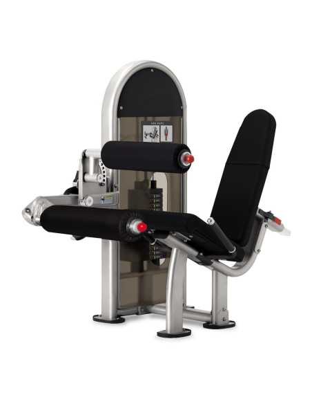 Nautilus Pro Leg Curl  