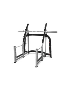Nautilus Pro Squat Rack
