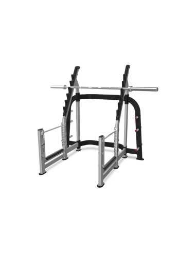 Nautilus Pro Squat Rack  