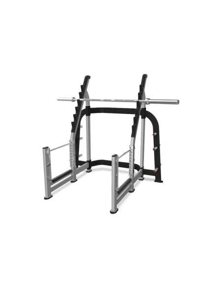 Nautilus Pro Squat Rack  