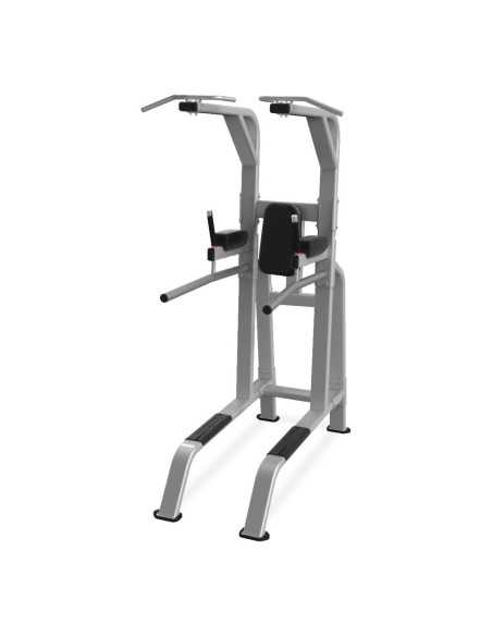 Nautilus Pro Pull Up / Dip / Leg Raise  