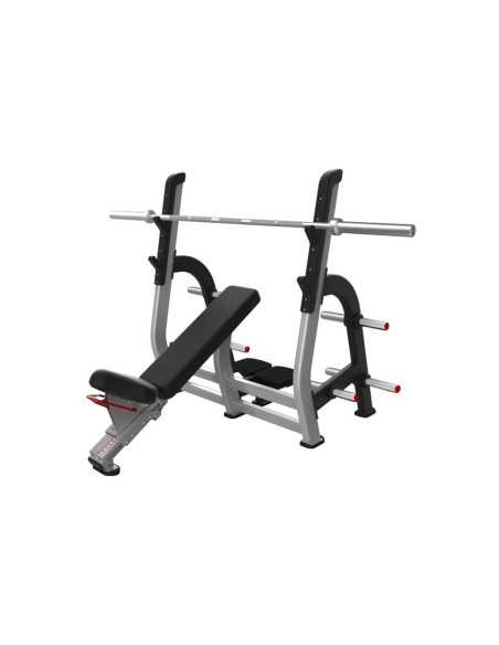Nautilus Pro Incline Bench Press  