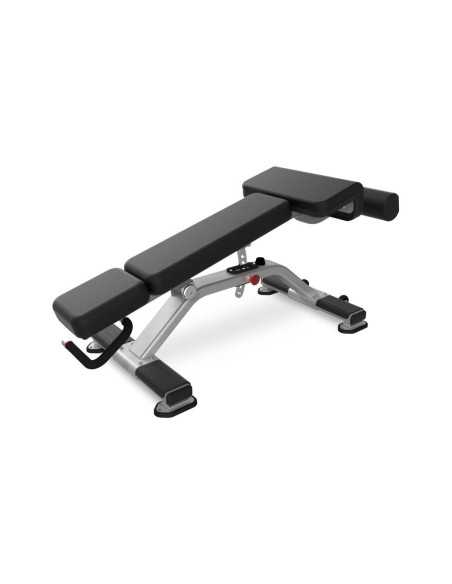 Nautilus Pro Adjustable Decline Bench  