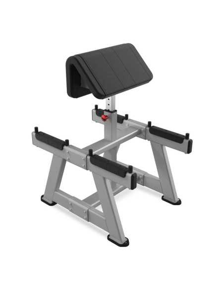 Nautilus Pro Standing Preacher Curl  