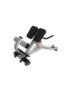 Nautilus Pro Adjustable Back Extension