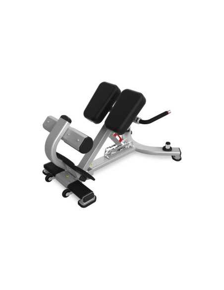 Nautilus Pro Adjustable Back Extension  