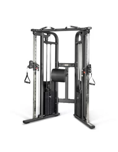Binom Poulie Double 200kg Professionnel + Support Lombaire Réglable