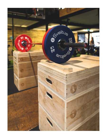 Set de jerk blocs en bois SVELTUS