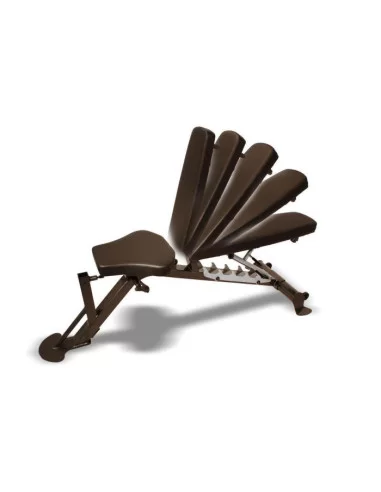 Banc Réglable Inspire INS-BCO avec Accessoires pour les Biceps et les Jambes 