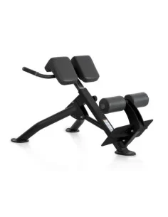 Binom Strength Banc Lombaire 45º