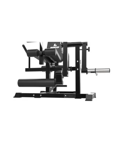 Binom Strength BS105 Total Leg Curl / Extension 