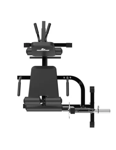 Binom Strength BS105 Total Leg Curl / Extension 