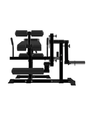 Binom Strength BS105 Total Leg Curl / Extension 