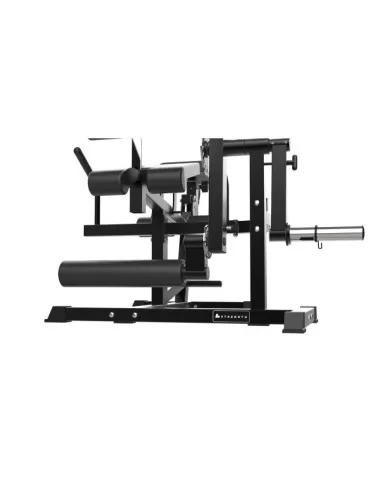 Binom Strength BS105 Total Leg Curl / Extension 