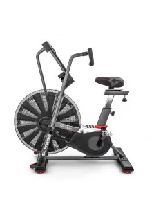 Schwinn Airdyne AD8 Air Bike PRO  2