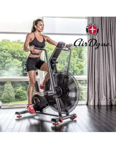 Schwinn Airdyne AD8 Air Bike PRO 