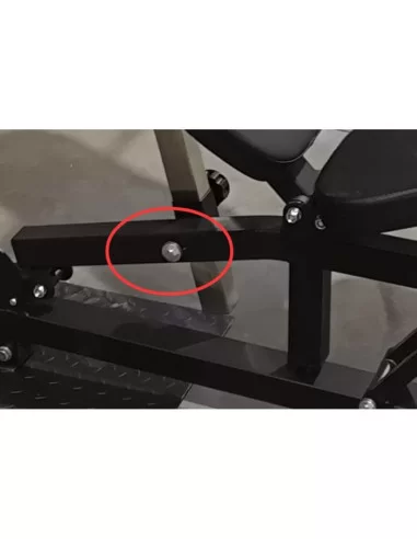 Binom Strength Bench Press Entraîneur multifonction BS08 (Presse/Biceps/Jambe) 