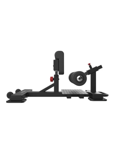 Bodytone FBC17 Squats de Banc de Poule Mouillée 