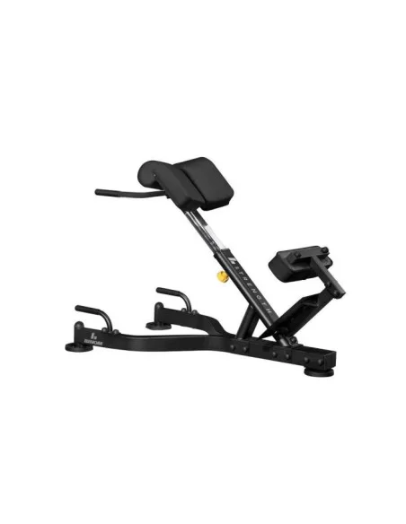 Banc Lombaire 45º - Binom Strength 