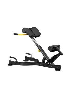 Banc Lombaire 45º - Binom Strength  2