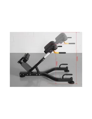 Banc Lombaire 45º - Binom Strength 