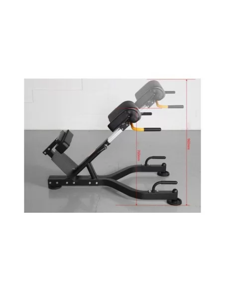 Banc Lombaire 45º - Binom Strength 