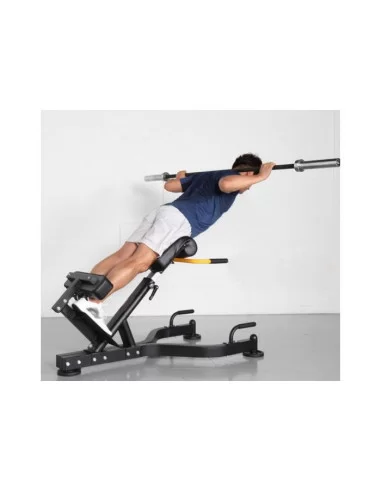 Banc Lombaire 45º - Binom Strength 