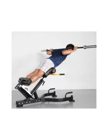 Banc Lombaire 45º - Binom Strength 