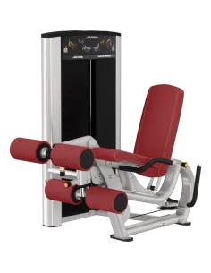 Life Fitness - Leg Extension / Leg Curl Axiom Series 